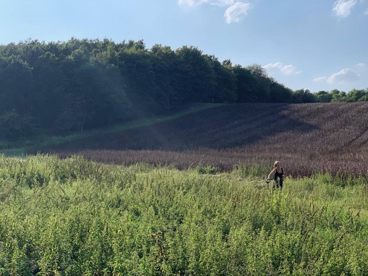 Ferienzimmer Suhrer Seeblick Séjour chez l'habitant Plön